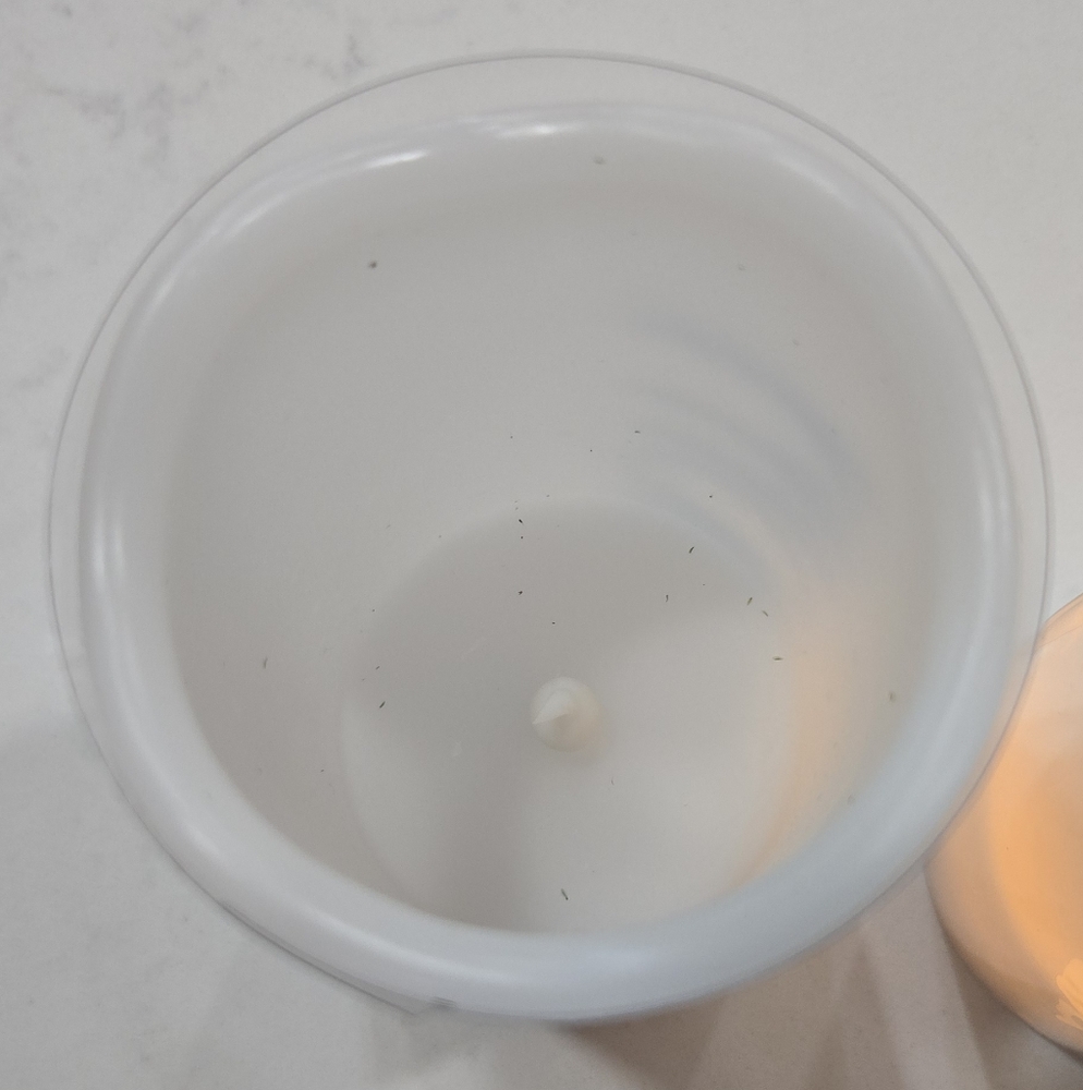 Hoppy Easter LED Wax Candle Set By Rae Dunn - Picture 5 of 6